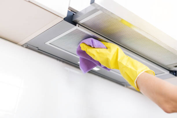 Best Air Duct Cleaning Near Me  in Lake Success, NY